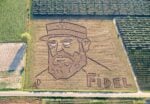Fidel Castro nella land art di Dario Gambarin