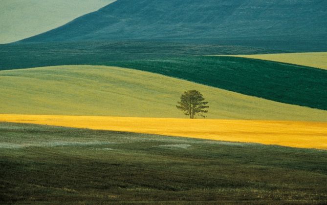 Franco Fontana, Basilicata Landscape, Italy 1978
