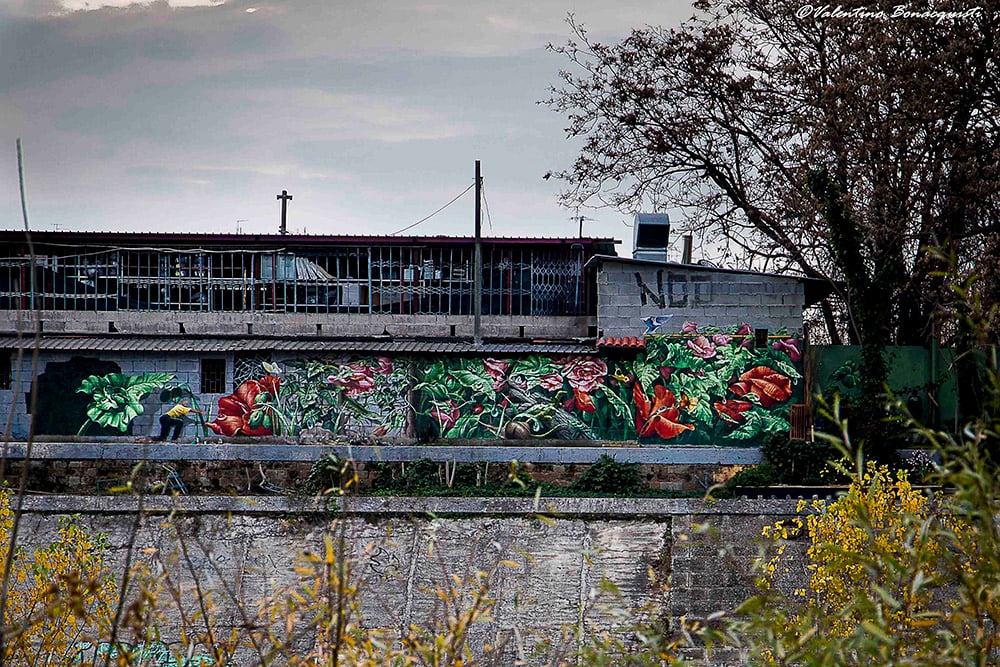 Il murale di Laura Galletti, a Roma - foto fotografiaerrante.com