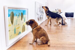 Una mostra d’arte contemporanea per cani. L’ha curata il designer inglese Dominic Wilcox