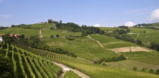 Il paesaggio delle Langhe in Piemonte