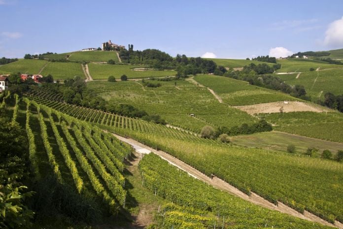Il paesaggio delle Langhe in Piemonte