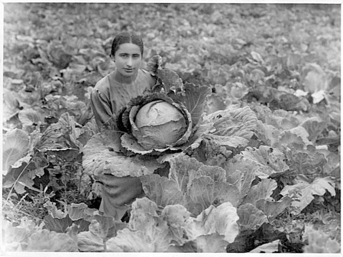 Maria Esayan, Agronomist, Dilijan, Armenia