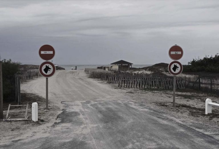Houellebecq e Rottenberg. Ironia e nichilismo a Parigi