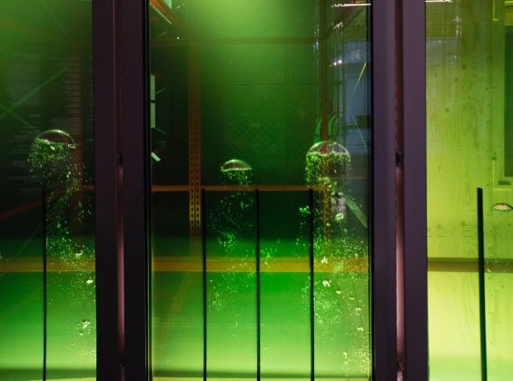 Ove Arup, SolarLeaf bio-reactive algae façade © Algae Façade prototype panels, 2016
