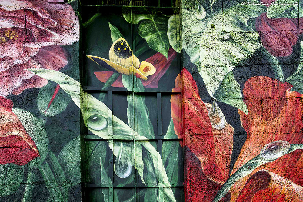 Un dettaglio del muro di Laura - foto Valentina Bonacquisti via fotografiaerrante.com