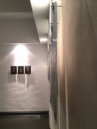 Alain Ledezma – Un triángulo tiene sus tres ángulos... - exhibition view at Fusion Art Gallery, Torino 2016 - photo Davies Zambotti