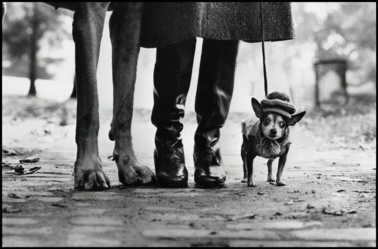 Elliott Erwitt, New York, USA, 1974 - © Elliott Erwitt - Magnum Photos