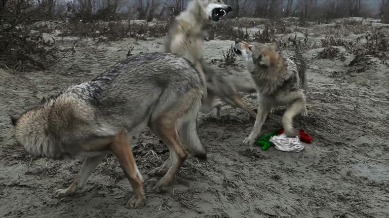 Italiani in trasferta. Da Napoli a Zagabria le installazioni video all’aperto di dieci artisti coinvolti in Q.I. Quartiere Intelligente