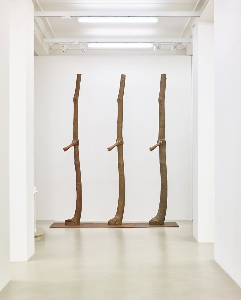 Giuseppe Penone - Fui, Sarò, Non sono - exhibition view at Marian Goodman Gallery, Londra 2016