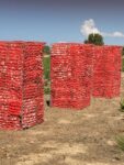 Help, the Age of Plastic a Mozia, in Sicilia