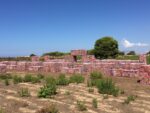 Help, the Age of Plastic a Mozia, in Sicilia