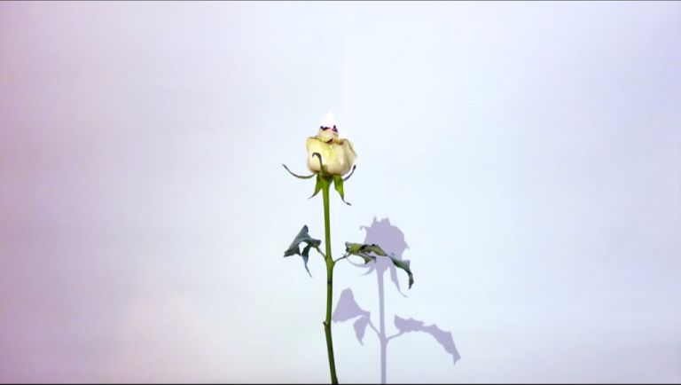 Jumairy, Aconite, 2015 - still from video