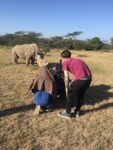 Luca Trevisani Sudan. Foto di Giovanna Silva 1 Anteprima mondiale per Sudan di Luca Trevisani a Expo Chicago 2016