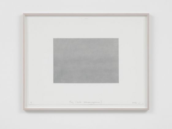 Spencer Finch, Fog (Lake Wononscopomac), 2016 - © Spencer Finch; Courtesy Lisson Gallery