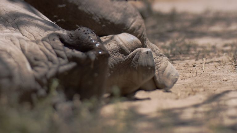 Sudan di Luca Trevisani 8 Anteprima mondiale per Sudan di Luca Trevisani a Expo Chicago 2016