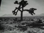 U2, The Joshua Tree (1987) - photo Anton Corbijn