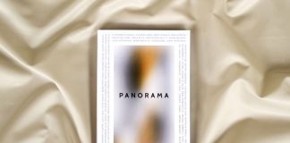 Zoe De Luca (a cura di) – Panorama - Diorama Editions, Milano 2016