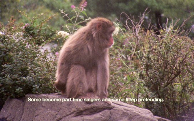 Basim Magdy, The Everyday Ritual Of Solitude Hatching Monkeys