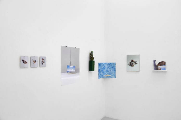 Beyond Landscape - exhibition view at Renata Fabbri arte contemporanea, Milano 2016 - Adéla Waldhauserová