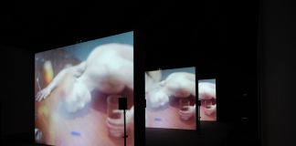 Ed Atkins - exhibition view at Castello di Rivoli, Rivoli 2016 - photo © Andrea Guermani