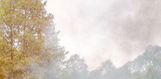 Filippo Minelli, Shape D_A, 2016 - Galleria civica di Modena, nuova acquisizione