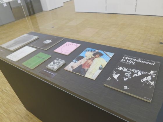 La mostra della collezione Donata Pizzi alla Triennale di Milano