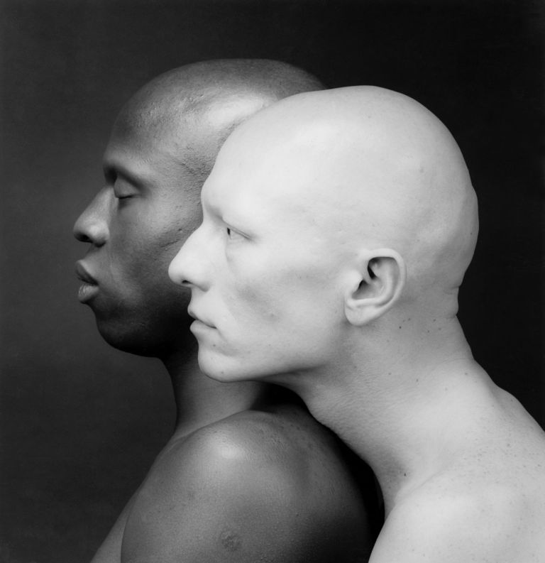 Mapplethorpe Look at the Pictures