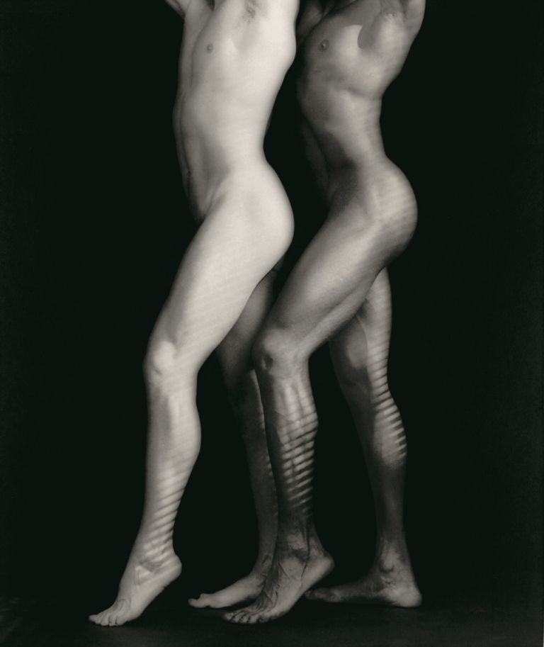 Mapplethorpe Look at the Pictures