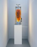 Maria Toboła, Amber Kebab, 2016 - courtesy of the artist