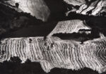 Mario Giacomelli, Paesaggio, 1982 - Galleria Civica di Modena