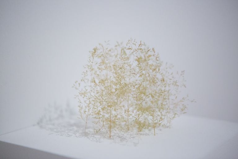 Quadriennale d’Arte, Roma 2016 (foto Giovanni de Angelis)