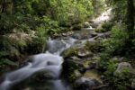 Riserva naturale di Vendicari territorio dove si svolge la residenza bridgeart