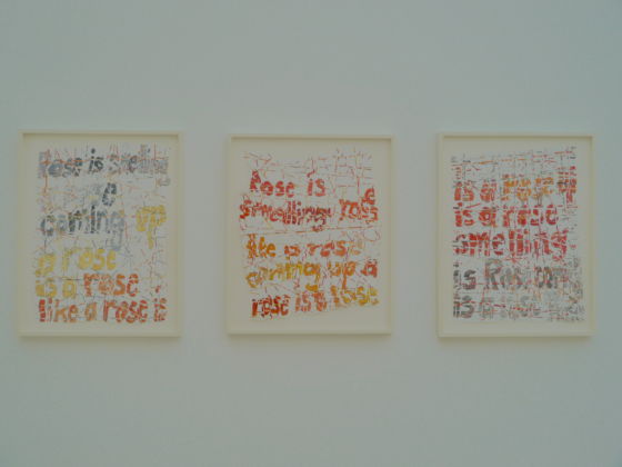 Roni Horn alla Fondazione Beyeler di Basilea