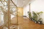Urpflanze. La natura dell’idea - exhibition view at Nuova Galleria Morone, Milano 2016