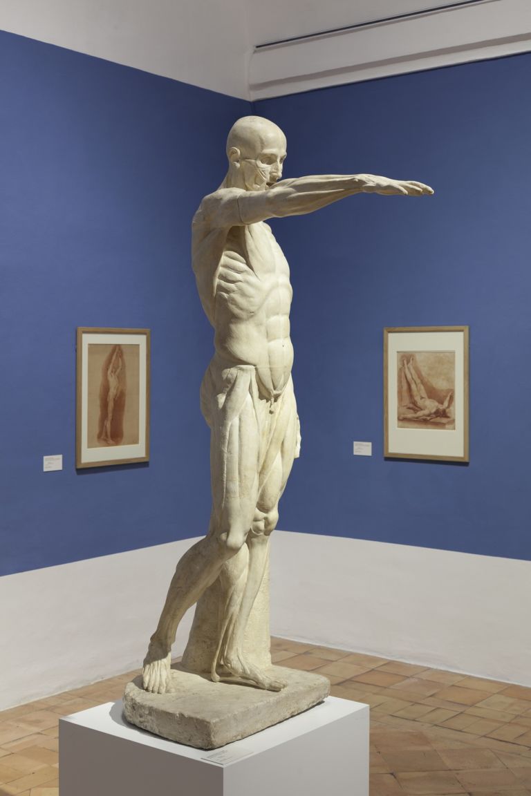 350 anni di creatività - Villa Medici, Roma - 2016 - ph. Daniele Molajoli