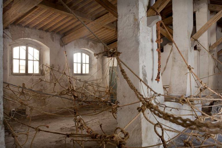 Claudia Losi, Concha de Amor, 2015 - Deposito via Capocchi, Livorno - photo Daniele Signaroldi