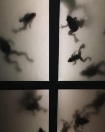 Dora Budor, Dreamlands. Immersive cinema and art, 1905-2016, Whitney Museum, New York 2016