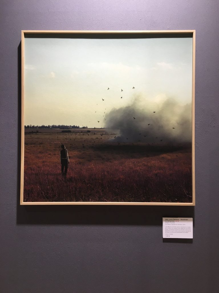 Fotofever 2016, Parigi (foto Elena Arzani)