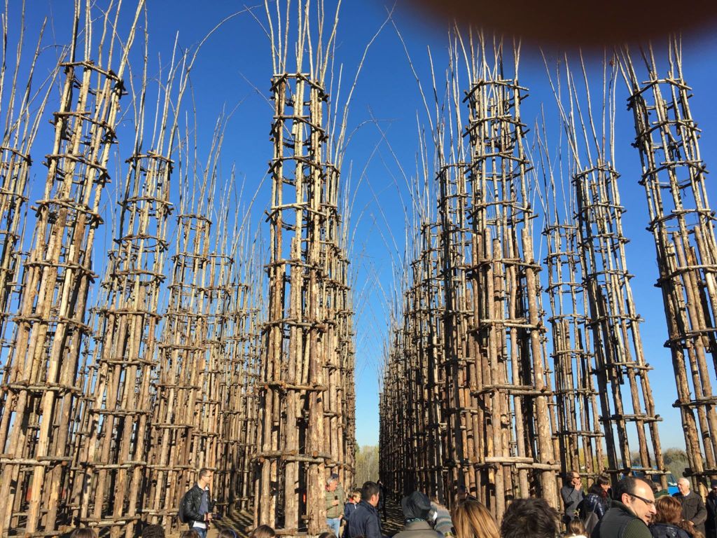 La Cattedrale Vegetale di Giuliano Mauri a Lodi potrebbe ritornare in vita. Grazie ai privati