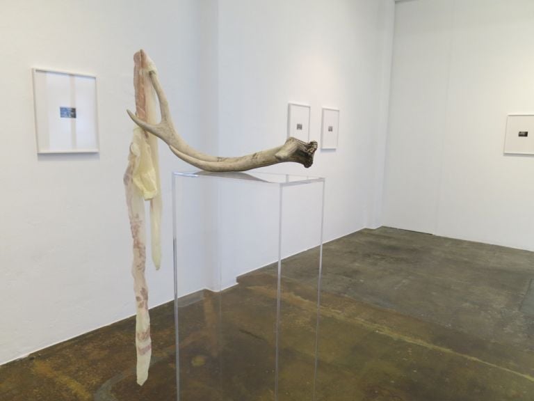Luca Trevisani - exhibition view at Marsélleria, Milano 2016