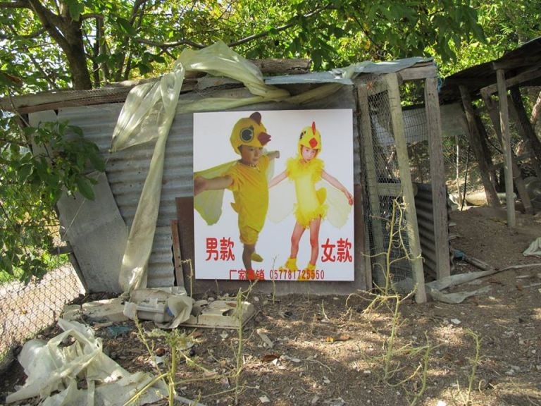 Mattia Pajè – Hen-House – exhibition view at Sponge Living Space, Pergola 2016