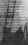 Nuclear shadow, Hiroshima