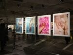 PhotoVogue Festival, Milano (foto Elena Arzani)