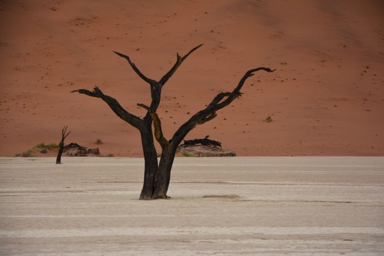 Sossusvlei, Namib Desert 2015 - credits Maria Rebecca Ballestra
