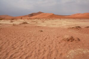 Ascoltare il deserto. Intervista a Maria Rebecca Ballestra