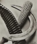 Tina Modotti, Bandolier, Corn and Sickle, 1927. Gelatin silver print on postcard stock, 95 x 79 mm. The Sir Elton John Photography Collection, courtesy Tate, London