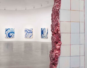 La nuova collezione di azulejos di Adriana Varejão. Da Gagosian a Roma