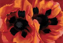 Georgia O’Keeffe, Oriental Poppies, 1927 - The collection of the Frederick R. Weisman Art, Museum at the University of Minnesota, Minneapolis - © 2016 Georgia O’Keeffe Museum-Bildrecht, Wien