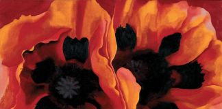 Georgia O’Keeffe, Oriental Poppies, 1927 - The collection of the Frederick R. Weisman Art, Museum at the University of Minnesota, Minneapolis - © 2016 Georgia O’Keeffe Museum-Bildrecht, Wien